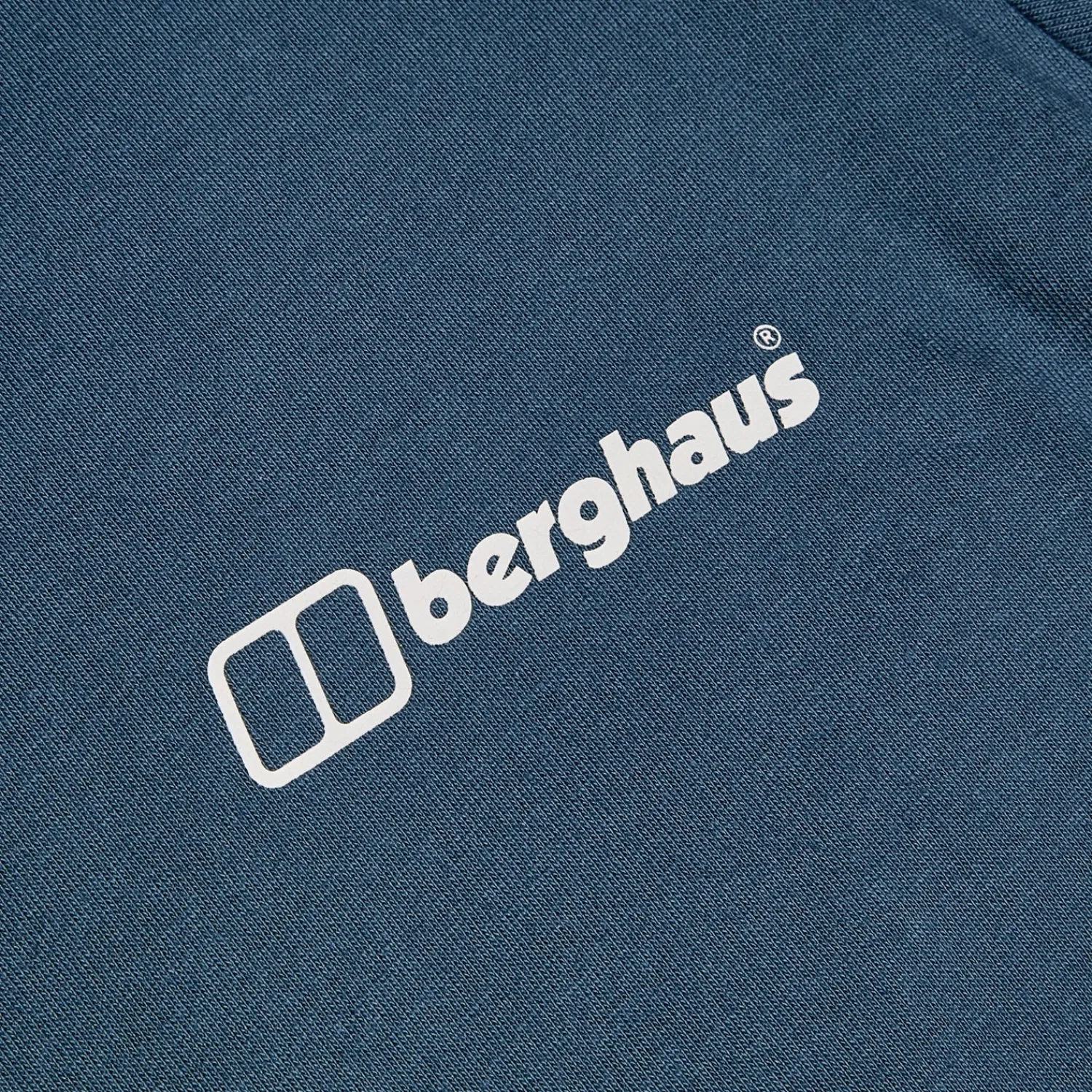 Berghaus Men's Cheviot Box Logo Short Sleeve T-Shirt - Blue Fashion